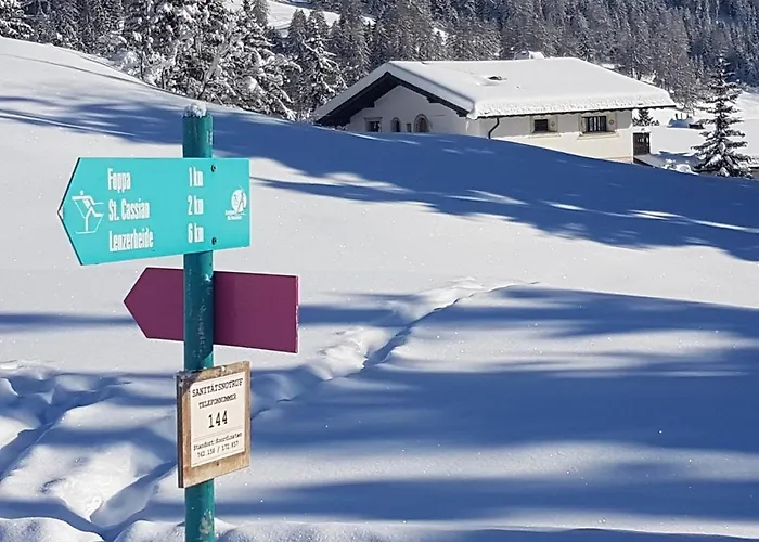 Tgampi Saura 395 Rue *